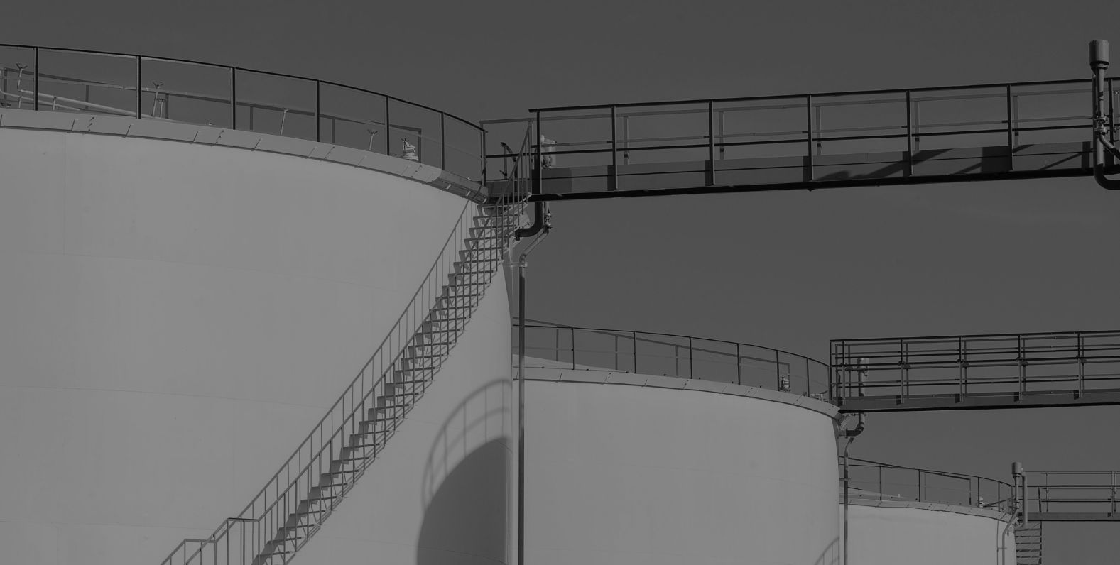 Petrochemical Feedstock Vulnerability and the M&A Response