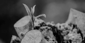 Beyond the Capital: Six Fundraising Misconceptions That Limit Business Growth