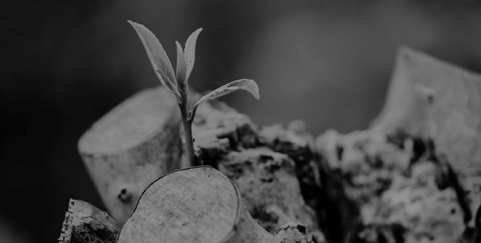 Beyond the Capital: Six Fundraising Misconceptions That Limit Business Growth